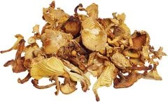 Грибы Лисички сушеные 100г