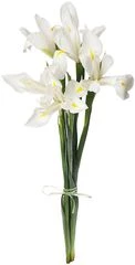 Букет ирисов Вайт Мейджик 5шт
