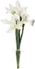 thumb-Букет ирисов Вайт Мейджик 5шт-0}