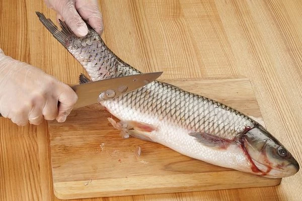 Рыбу разморозить естественным способом на нижней полке холодильника. Промыть под холодной водой от слизи. Обсушить бумажным полотенцем. Очистить от чешуи.