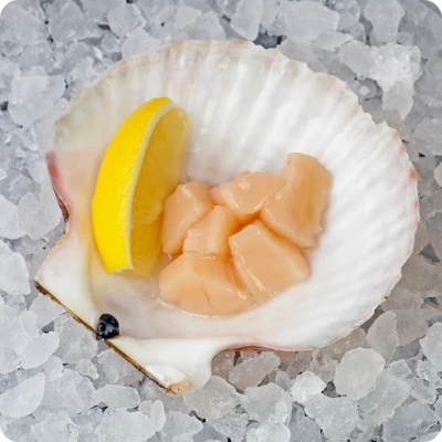 Гребешок с лимоном 1шт -0}