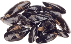 Мидии живые северные ~500г