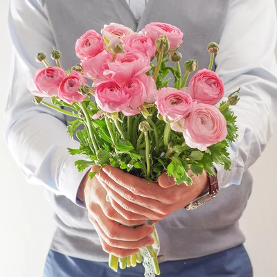 Ранункулюс розовый 1шт-0}