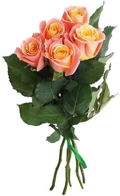 Букет роз Мисс Пигги 5шт-0}