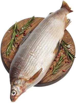 Сиг таймырский тушка ~850г-0}