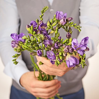 Фрезия сиреневая Блу Байо ~40см 1шт-1}