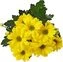 thumb-Хризантема кустовая желтая Сора ~55см 1шт-2}