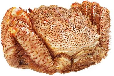 Краб волосатый четырехугольный целый ~1.2кг-1}