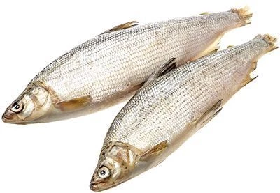 Сырок сибирский замороженный ~1,5кг-0}