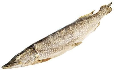 Щука замороженная ~ 1,5кг -0}