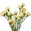 thumb-Букет желтых кустовых гвоздик 5шт-0}