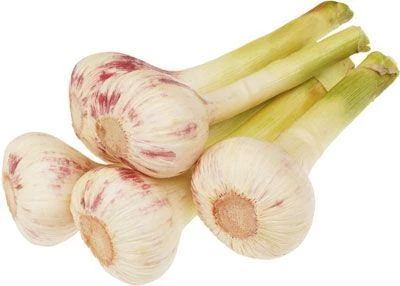 Чеснок молодой Египет ~300г-0}