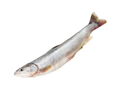 Голец камчатский тушка ~1кг-0}