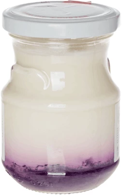 Йогурт термостатный Черника 2,5% жир., 250г-1}