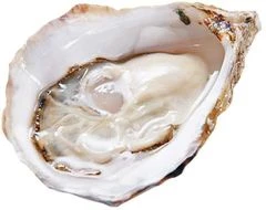 Устрица Перл Блан Тунис 1шт