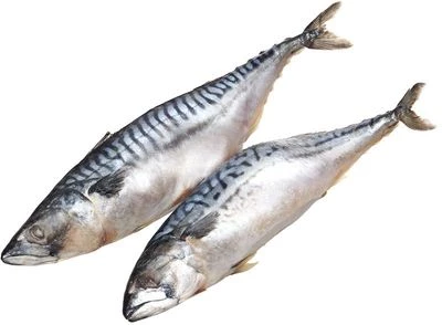 Скумбрия дальневосточная ~1кг-0}