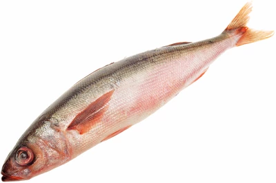 Красноглазка южная замороженная ~1,2кг-0}