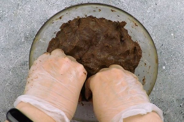 Накрыть пищевой пленкой и оставить на 1 час в холодильнике.