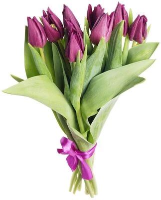 Букет фиолетовых тюльпанов 9шт-0}