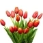 thumb-Букет красно-желтых тюльпанов 15шт-0}