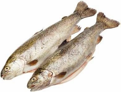 Форель радужная потрошеная охлажденная ~1.75кг-0}