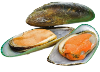 Мидии Киви на половине раковины размер М  31/45 500г-0}