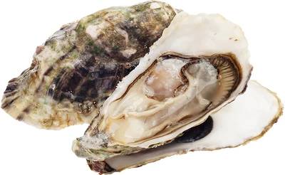 Устрица Специаль Касабланка 1шт-1}