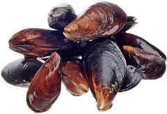 Мидии черноморские в раковине живые ~500г