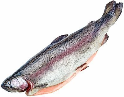 Форель морская потрошеная охлажденная ~1.75 кг -0}