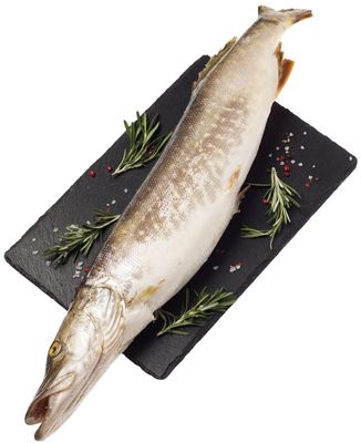 Щука сибирская ~1,5кг-0}