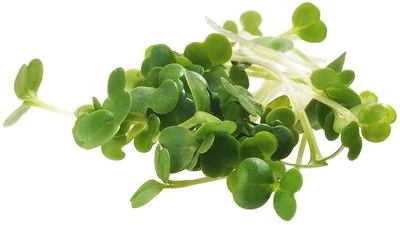 Микрозелень Руккола 30г-0}