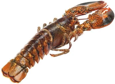 Лобстер ~700г-1}