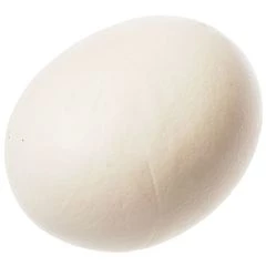 Яйцо черного африканского страуса 1шт