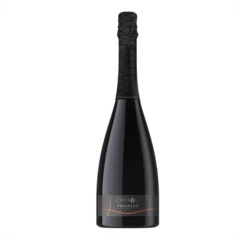 Вино игристое Decordi Costa Blu Prosecco Brut белое Италия 750мл