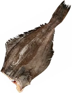 Палтус тихоокеанский белокорый потрошеный без головы ~3,5кг-0}