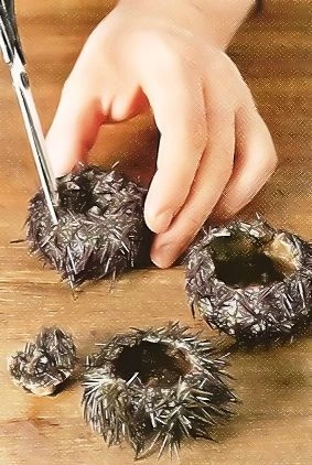 Для граните лук измельчите. Доведите до кипения шампанское с сахаром, тимьяном, мятой и луком. Дайте остыть до комнатной температуры, затем перелейте в контейнер для замораживания, накройте и поставьте в морозильную камеру минимум на 4 ч. Каждый час перемешивайте.