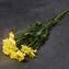 thumb-Хризантема кустовая Радость желтая ~ 60см  1шт-3}