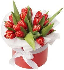 Букет красно белых тюльпанов в красной шляпной коробке L ~17шт