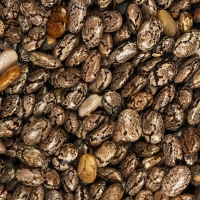 Чиа семена Деликатеска Аргентина 180г-0}