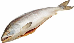 Кета дикая Чумиканская с головой ~3,5кг