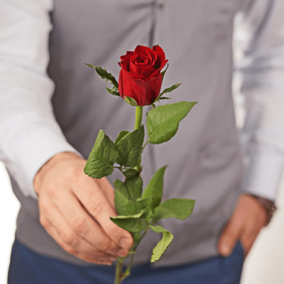 Роза Мадам Ред ~50см 1шт-0}