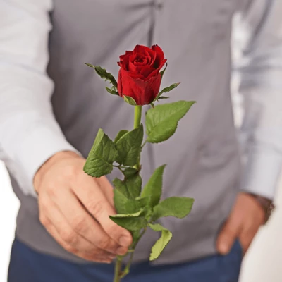 Роза Мадам Ред ~50см 1шт-0}