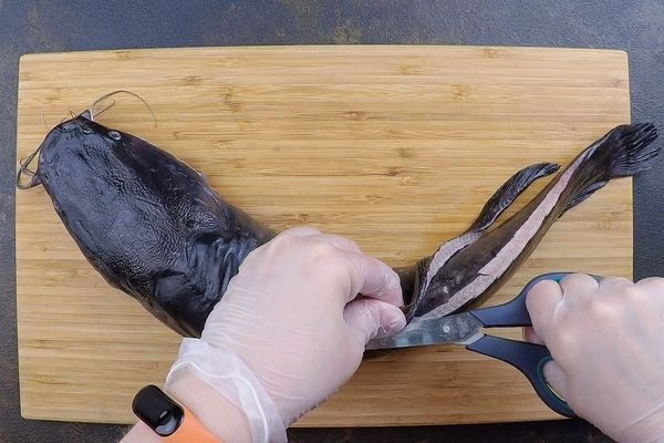 Потом промыть под проточной водой. Вырезать жабры, срезать плавники.