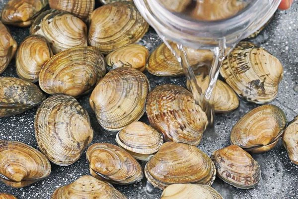 Вонголе промыть под проточной водой, затем прогреть на разогретой сковороде с небольшим количеством воды. Так как ракушки сами по себе соленые, то необходимо удалить лишнюю соль.