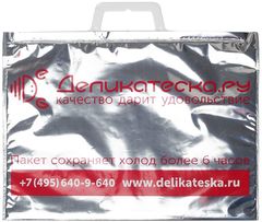 Термопакет малый с пластиковой ручкой