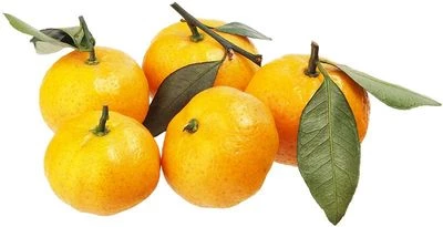 Мандарины мини Китай ~500г-0}