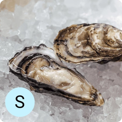 Устрица Розовая Джоли S 1шт-0}