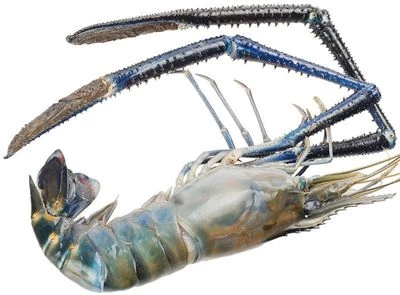 Креветка розенберга охлажденная ~ 350г-1}