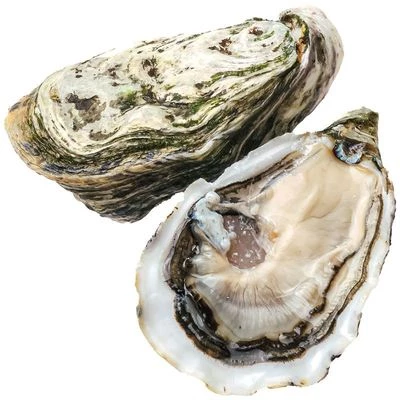 Устрица Жозефина Марокко 1шт-0}