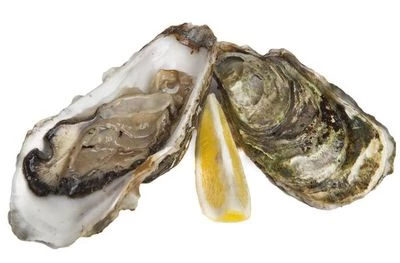 Устрицы живые гигантские ~1кг-0}